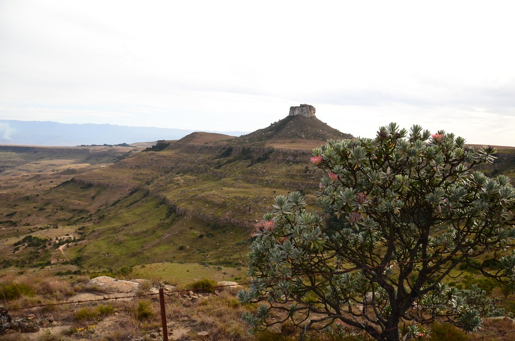 2015-05 South Africa/Drakensburg/DSC_0142.JPG